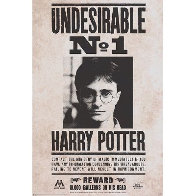 Plagát Harry Potter - Undesirable č. 1
