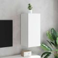 vidaXL TV nástenná skrinka s LED svetlami biela 30,5x35x70 cm