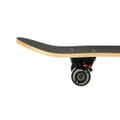 Skateboard NILS Extreme CR3108 Skulls