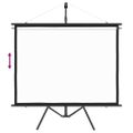 vidaXL Projekčné plátno so statívom 60" 4:3