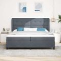 vidaXL Posteľ s pružinovým rámom Tmavo šedá 200 x 200 cm Zamat