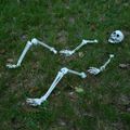 vidaXL Halloween kostra so záhradnými hrotmi Biela 45,5 x 13 cm