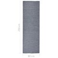vidaXL Vonkajší koberec s plochým tkaním 80x250 cm modrý