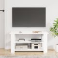 vidaXL Stojan na televízor Biela 100 x 40 x 50 cm