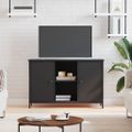vidaXL TV skrinka čierna 100x35x65 cm kompozitné drevo