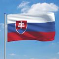 vidaXL Slovenská vlajka a stĺp 6 m hliníkový
