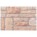 vidaXL Nástenné panely 10 ks 100 x 50 cm Svetlohnedá a biela EPS pena