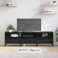 vidaXL TV skrinka so zásuvkou Čierny dub 150 x 30 x 45 cm