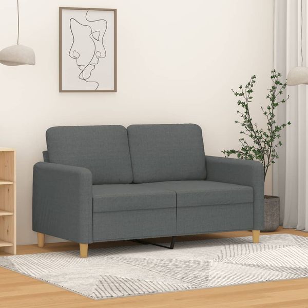vidaXL 2-miestna pohovka tmavosivá 120 cm látka