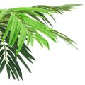 vidaXL Umelá palma Phoenix s kvetináčom 190 cm zelená