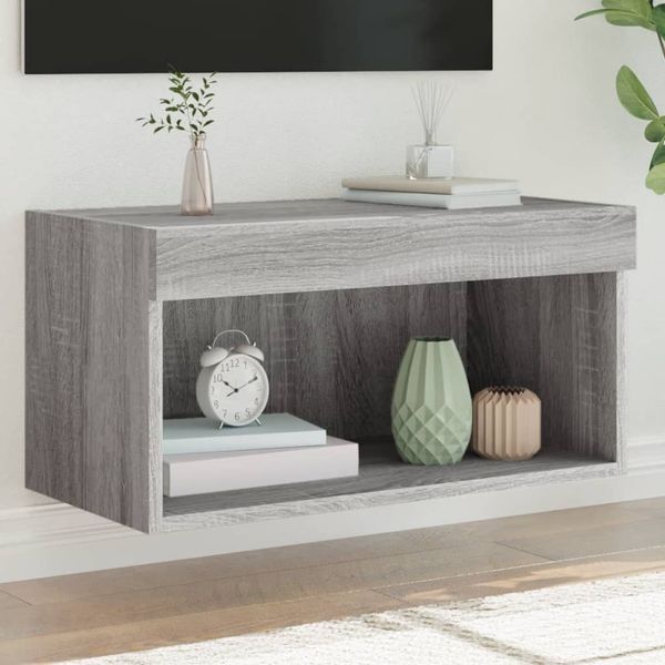 vidaXL TV skrinka s LED svetlami sivá sonoma 60x30x30 cm