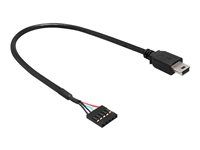 Adaptér z USB interného na externé - mini-USB typ B (M) do 5-kolíkový konektor USB 2.0 (F) - 30 cm - čierna