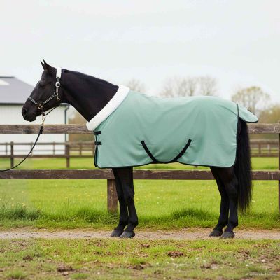 vidaXL Plášť pre kone Plná tmavozelená 75 cm Polárna fleece