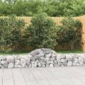vidaXL Oblúkový gabionový kôš 200x30x40/60 cm pozinkované železo