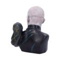 Busta Lorda Voldemorta (30 cm)