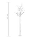 vidaXL Vianočný stromček/vŕba 180 LED 1,8 m studená biela dovnútra/von