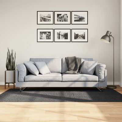 vidaXL Koberec IZA krátky vlas škandinávsky vzhľad antracit 100x200 cm