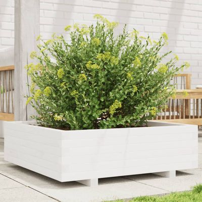 vidaXL Záhradný kvetináč biely 80x80x26,5 cm masívna borovica