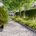 vidaXL Obrubník trávnika 10 ks 15 x 103 cm Antracitová