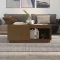 vidaXL Konferenčný stolík medovohnedý 100x101x40,5 cm borovicový masív