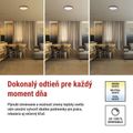 LED nástenné svietidlo ILVI, kruhové 30 W, stmievanie + CCT, drevo