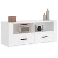 vidaXL TV skrinka biela 100x35x40 cm spracované drevo