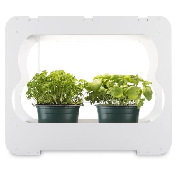 XAVAX Pestovacia stanica s LED svetlom
