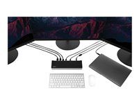 100W PD Laptop Dock (DK30CH2DEPUE) - Dokovacia stanica - USB-C - HDMI, DP - 1GbE - 100 Watt - kompatibilný s TAA - Veľká Británia, Európa