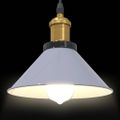 VidaXL Závesná lampa výškovo nastaviteľná E27 lesk šedá Ø 22 cm kov