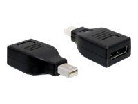 Adaptér DisplayPort - Mini DisplayPort (M) do DisplayPort (F) - černá