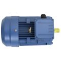 vidaXL 3-fázový elektromotor, hliník 3 kW/4HP, 2-pólový 2840 ot./min