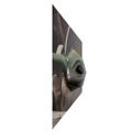 Plagát 3D - The Mandalorian, Grogu