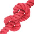 vidaXL Jutové lano 36 mm Červená 100% Tossa juta