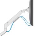 Neomounts  DS70-250WH1 Neomounts NEXT Slim Desk Mount, single display (topfix clamp/grommet), white Držák, VESA, stolní, pro plochý/zakrivený monitor, úhloprícka 17–35", náklon 90°, otácení 180°, rotace 360°, nosnost 9kg, bílý