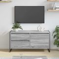 vidaXL TV skrinka 100 x 36 x 49.5 cm Sivý Sonoma Kompozitné drevo