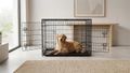 Kovová klietka pre psa REBEL RA-1204 veľ. XXL skladacia