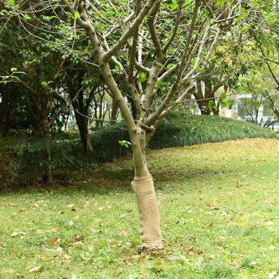 vidaXL Jutová rolka 0,5 x 5 m 100 % juta 200 g/m²