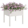 vidaXL Záhradné kvetináče 2 ks biele 70x70x70 cm borovicový masív