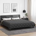vidaXL Zimný prehoz 200 x 200 cm 450 gsm Mikrovlákno (100% polyester)
