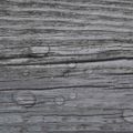 vidaXL Nesamolepiace podlahové dosky, PVC 4,46 m² 3 mm, lesklé sivé