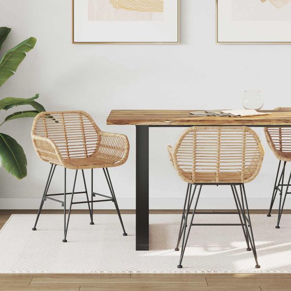 vidaXL Jedálenská stolička 2 pcs Ratan a železo Prírodná
