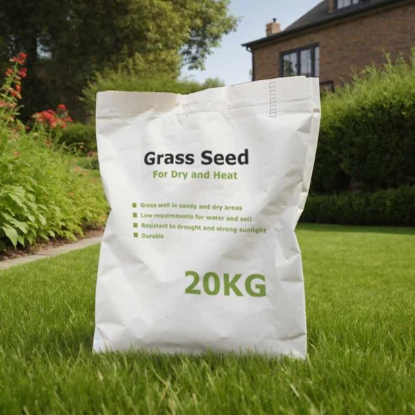 vidaXL Trávové semeno pre suché a horúce oblasti 20 kg