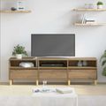 vidaXL TV skrinka 150 x 30 x 45 cm Remeselný dub Kompozitné drevo