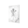 Black Powder And Brimstone - Book of Spells