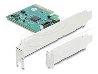 Delock PCI Express x4 Card na 1 x intern