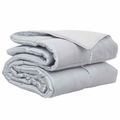 vidaXL Prikrývka na celý rok 240 x 260 cm 300 gsm Strieborná