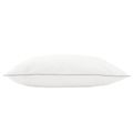 vidaXL Vankúš FULDA 2 ks 60 x 80 cm 100% husacie perie a dolu Biela
