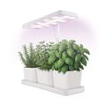 Pestovateľská lampa EMOS Z7904 LED GROW 7 W, časovač, stmievateľná, biela