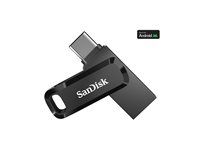Jednotka USB flash - 1 TB - USB 3.2 Gen 1 / USB-C