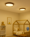 LED stropní 3CCT svítidlo TR-77S - 24W 2500lm ø30x2,5cm Trixline